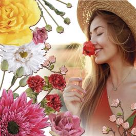 Fiori e rami per l'arredo vetrine