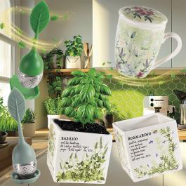 Infusori erbe tazze coperchio