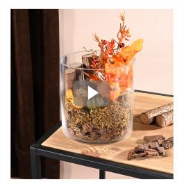 Packaging autunnale all'ingrosso