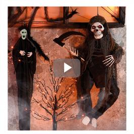 Vetrina di Halloween