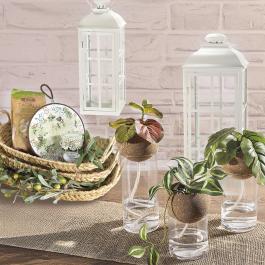 plant pots, lanterns and woven baskets