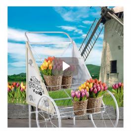 vitrine dulapuri online