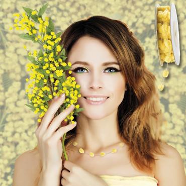 Top decorations, mimosa yellow