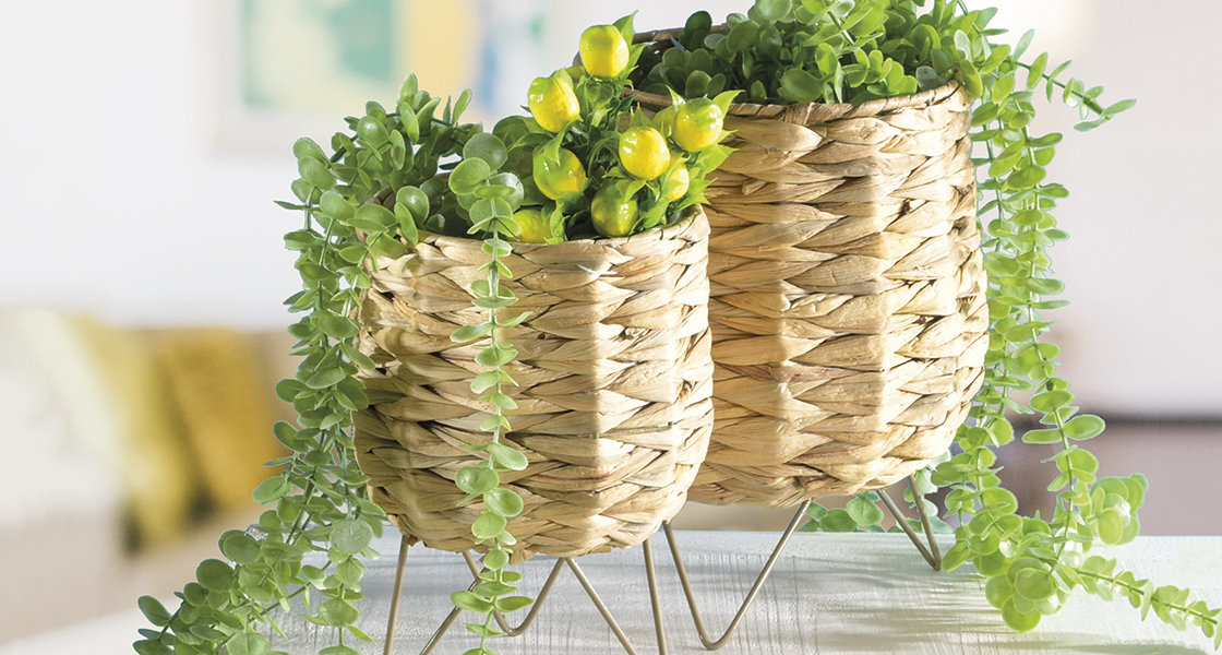 Idées de décoration de vases