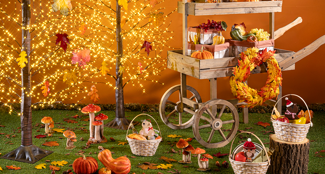 Magia d'autunno in vetrina