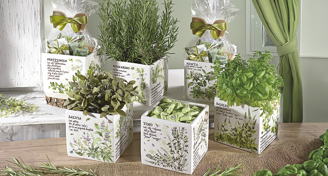 Vasi erbe aromatiche