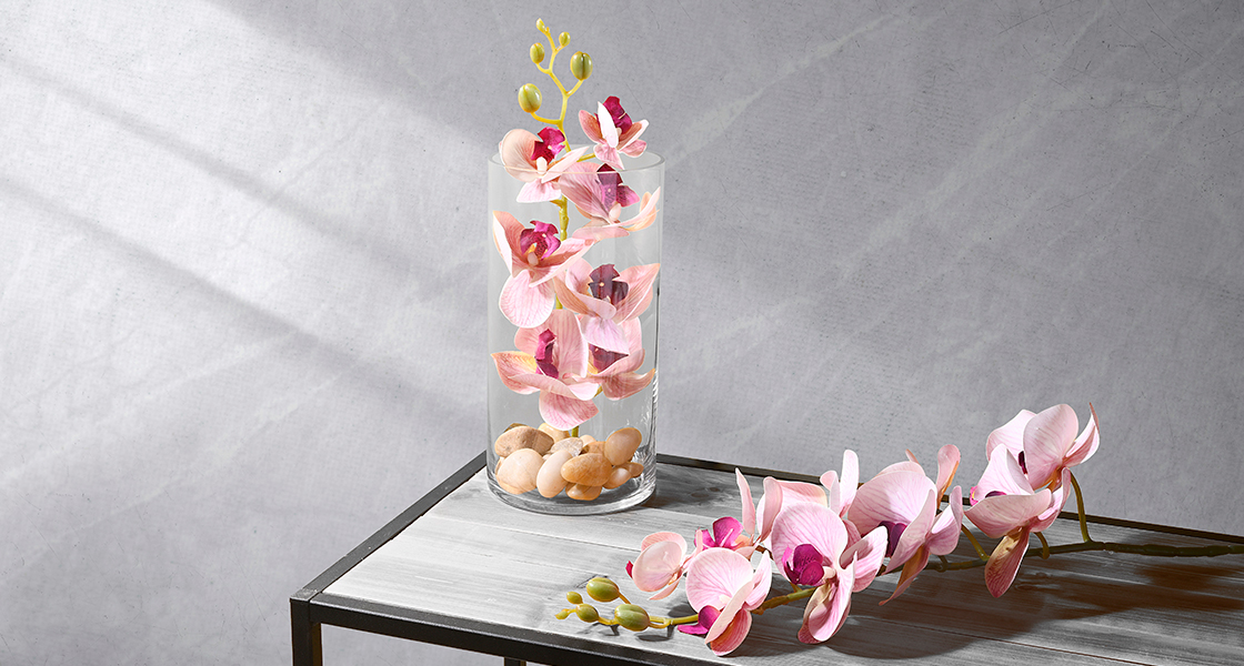 vasi e orchidee all'ingrosso