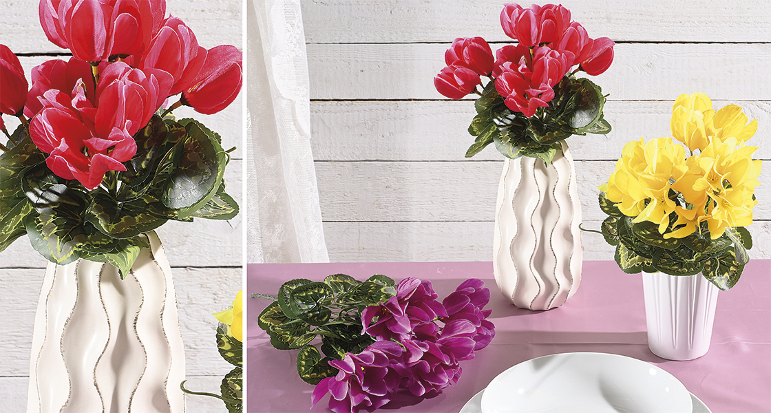 Colorful vases and flowers