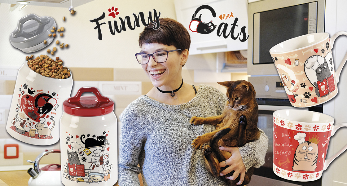 Cat-themed articles by 14zero3